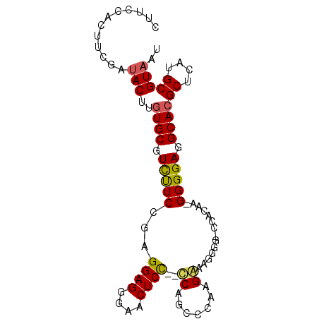 secondary structure