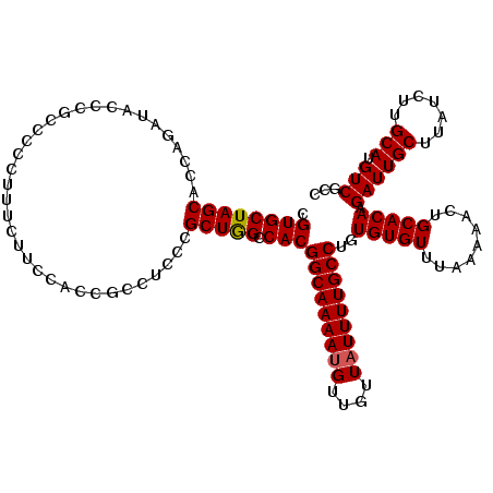 secondary structure