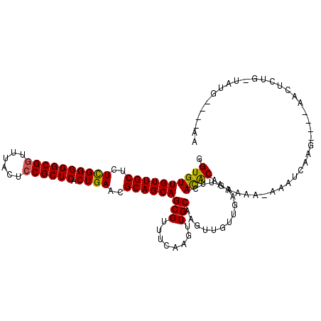 secondary structure