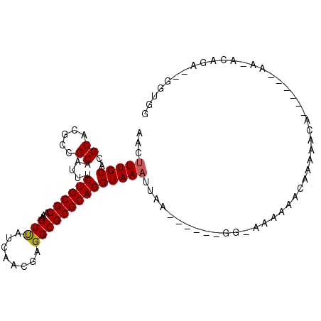 secondary structure