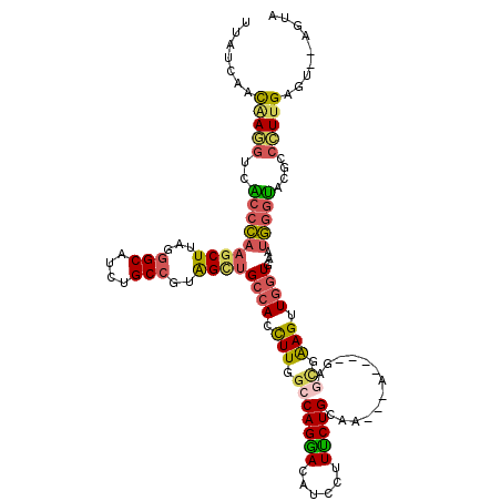 secondary structure