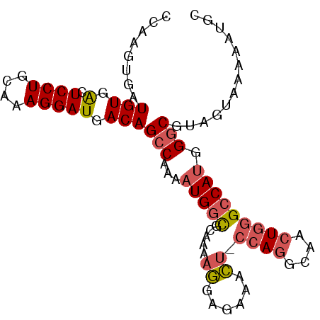 secondary structure