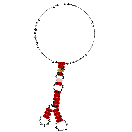 secondary structure
