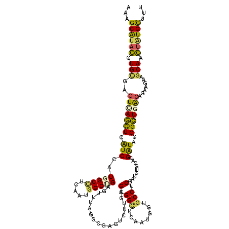 secondary structure