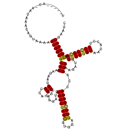 secondary structure