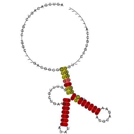 secondary structure