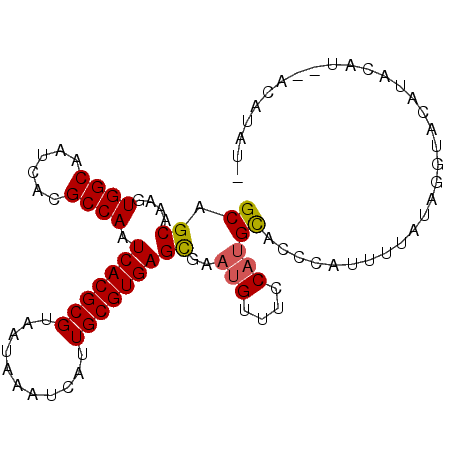 secondary structure