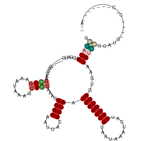 secondary structure