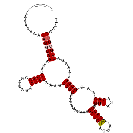 secondary structure