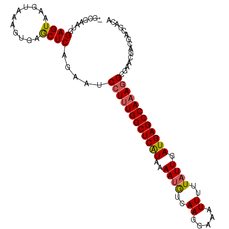 secondary structure