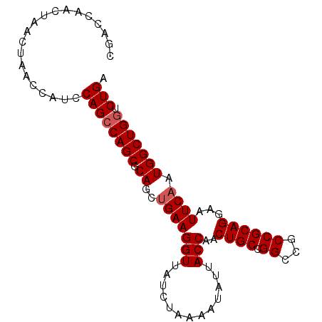 secondary structure