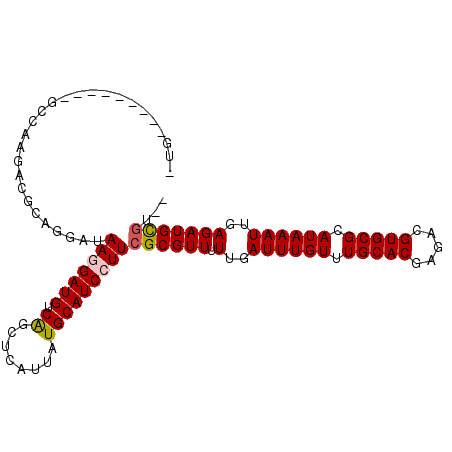 secondary structure
