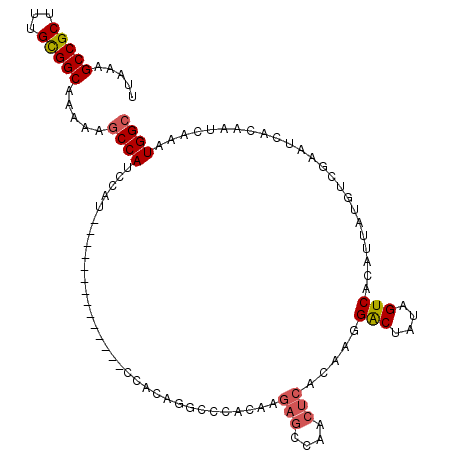 secondary structure