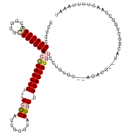 secondary structure