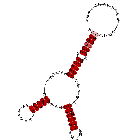 secondary structure