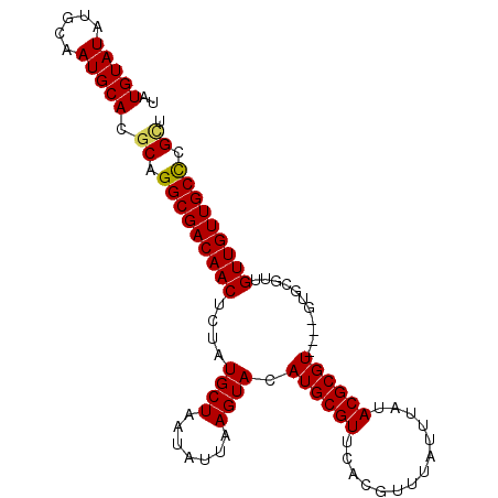 secondary structure