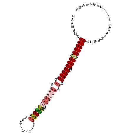 secondary structure