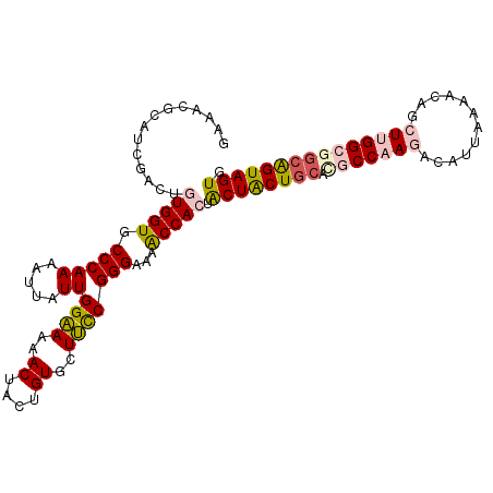 secondary structure