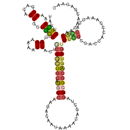 secondary structure