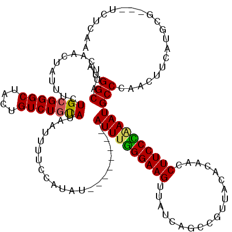 secondary structure