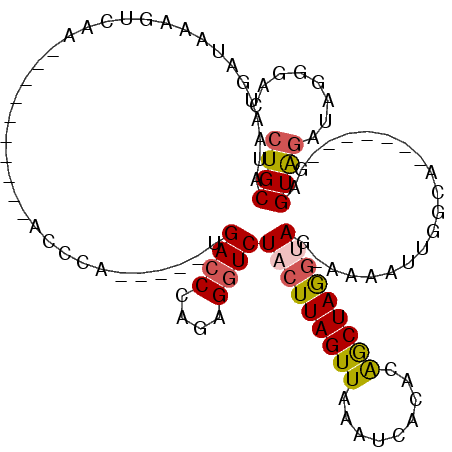 secondary structure