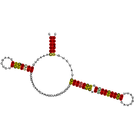 secondary structure
