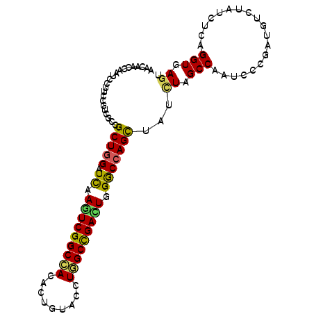 secondary structure