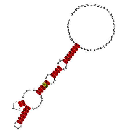 secondary structure