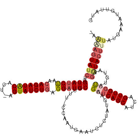 secondary structure