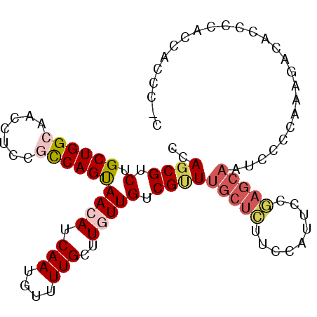 secondary structure