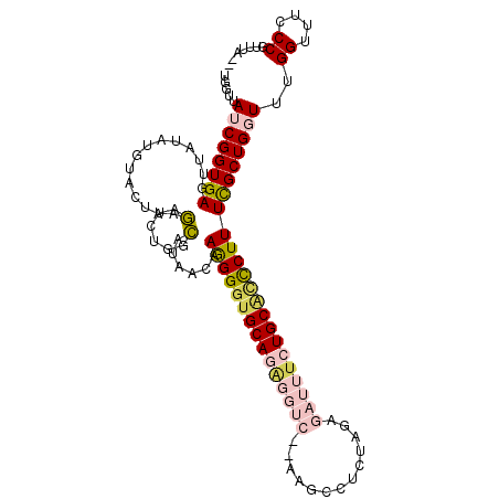secondary structure
