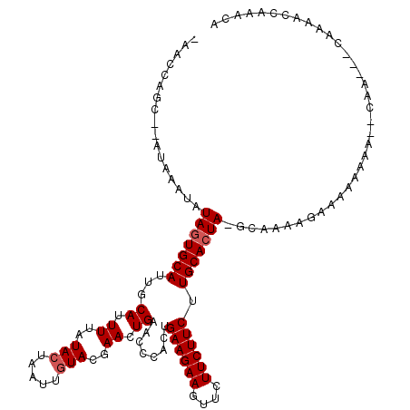 secondary structure