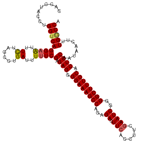 secondary structure