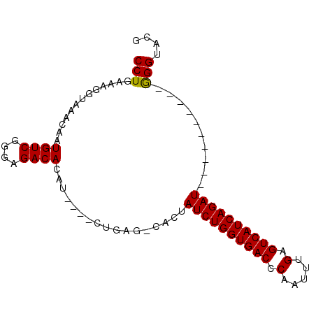 secondary structure