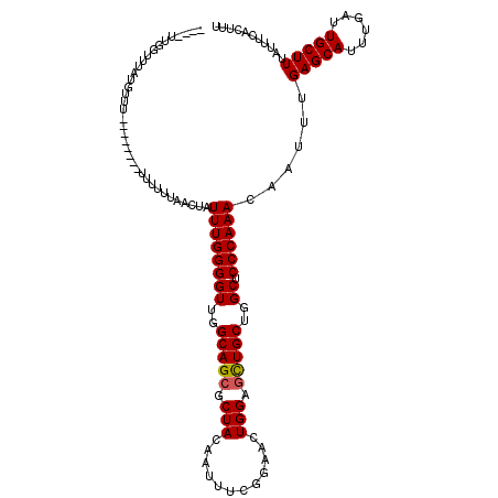 secondary structure