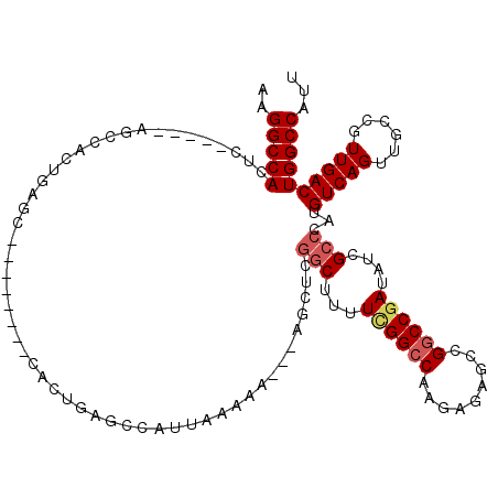 secondary structure