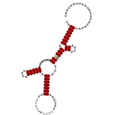 secondary structure