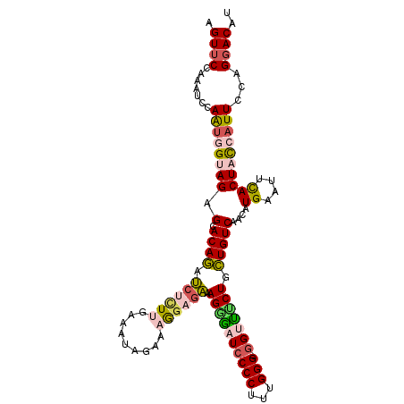 secondary structure