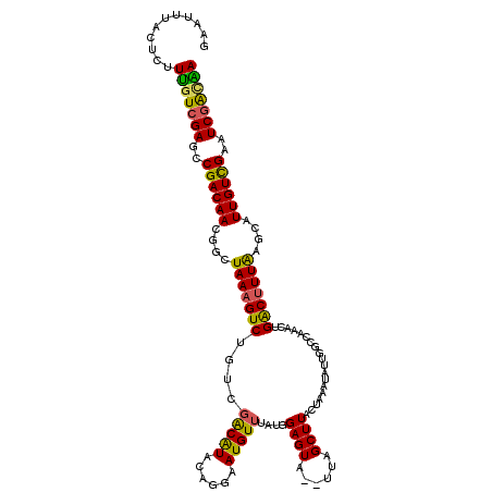 secondary structure