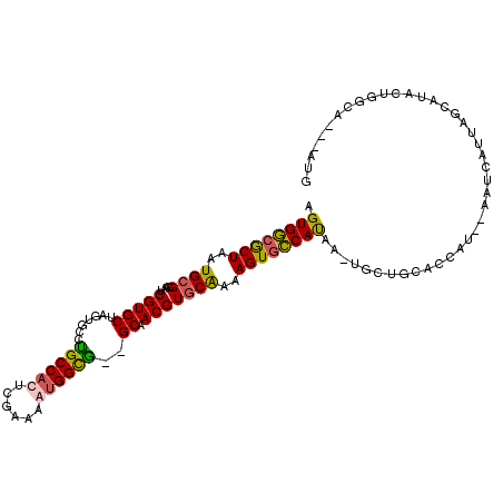secondary structure
