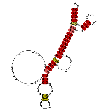 secondary structure