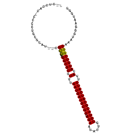secondary structure