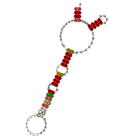 secondary structure