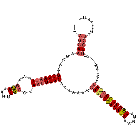 secondary structure