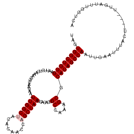 secondary structure