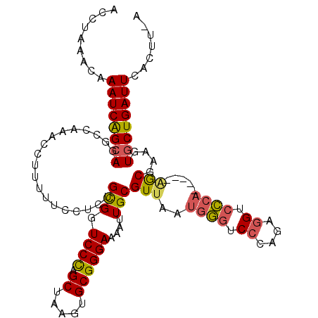 secondary structure