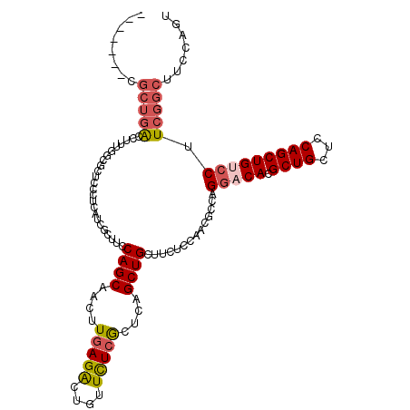 secondary structure