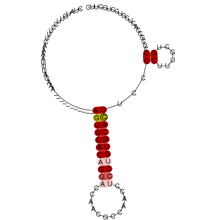 secondary structure