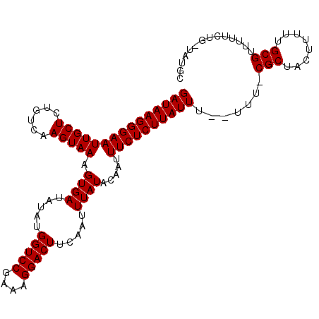 secondary structure