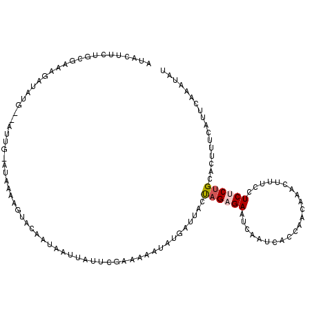 secondary structure